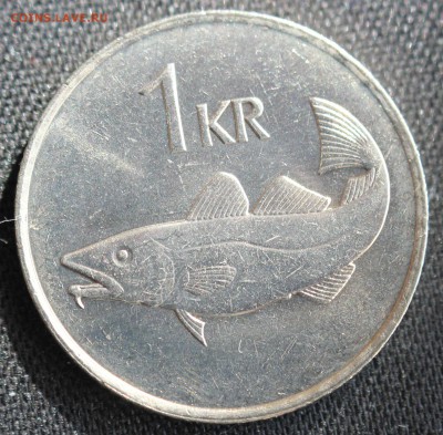 Конкурс «Veni Vedi Vici» - IMG_8802.JPG