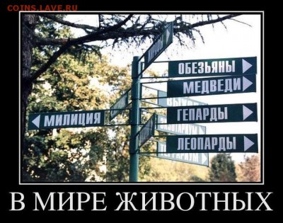 юмор - 36458429
