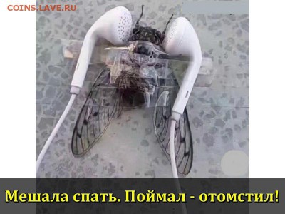 юмор - image