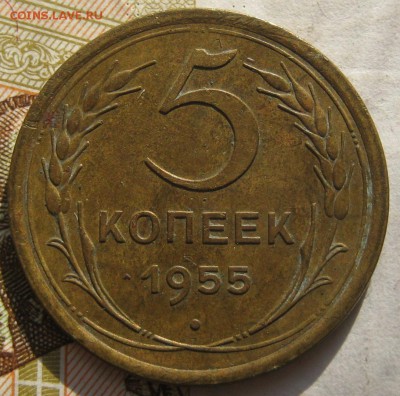 5 копеек 1955,56 3 штуки, с 200, до 01.10.17 в 22.00 мск - IMG_4200.JPG