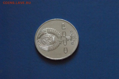 1 р. Год мира (Шалаш) до 02.10.2017 - 4.5.JPG