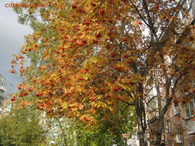 Стихи на заданную тему - IMG_4101[1].JPG
