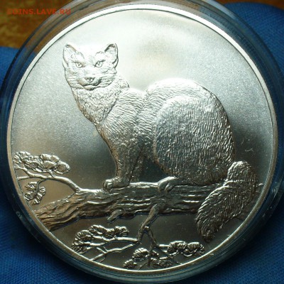 3 рубля 1995 года "Соболь" До 02.10.17 в 22.00 по мск - P1410014.JPG
