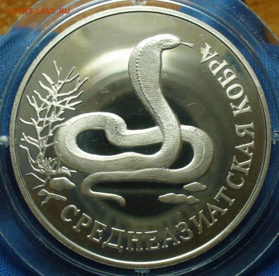 1 Рубль 1994 года "Среднеазиатская кобра"  До 02.10.17 в 22. - P1400734.JPG