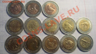 Красная книга. Все кроме 1992 года. До 11.03. 22:00 - IMG_0540.JPG