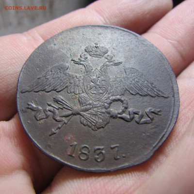 5 Копеек 1837года  (С.М.) - QDKFLmbHIKo