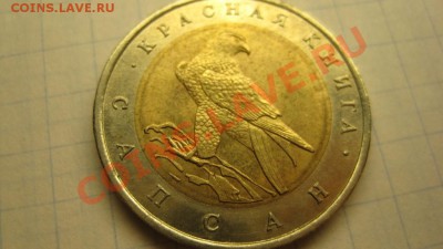 САПСАН - IMG_0546.JPG