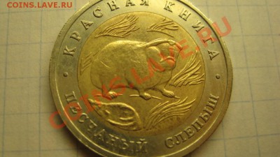 ПЕСЧАНЫЙ СЛЕПЫШ - IMG_0547.JPG