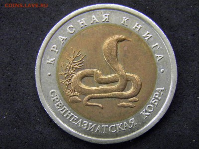 Красная книга 10 рублей кобра до 07.10.17 22-00Мск - P9280227.JPG