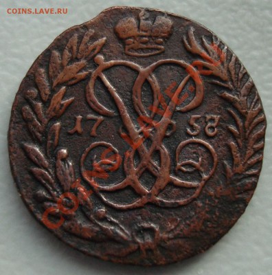 7 не гурченая - DSC08111.JPG