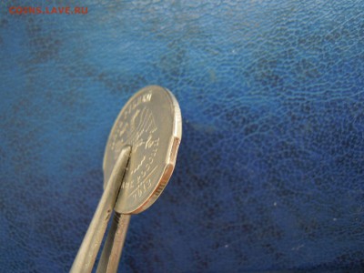 Выкусы. 2 шт.на 5 руб.2012. - DSCN5149[1]