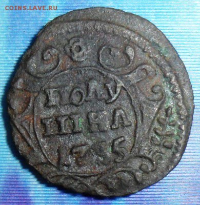 Полушка 1735г.До 3.10. - SAM_8210.JPG
