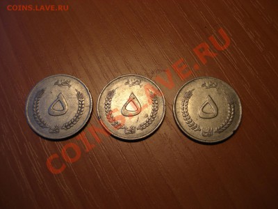 Помогите оценить монеты (Афганистан?) - DSC02968.JPG