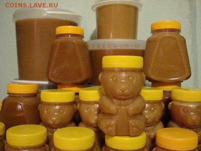 Севший гречишный мёд. - 6.JPG
