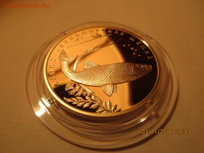 К.К.2 руб.2008г. Черноморская шемая.до 07.10.2017г.22-МСК - Изображение 042