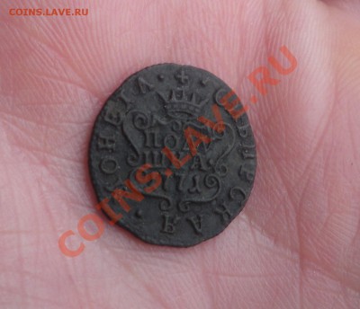 Сибирская полушка 1771 года ----- до 12.03. 22-00 по Мск---- - IMGP5004