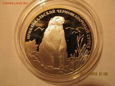 К.К.2 руб.2008г. Черношапочный сурок.до 07.10.2017 22-МСК - Изображение 038