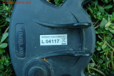 Катушка Minelab 9" Mono L (3 кГц) для X-terra - DSC08787 — копия.JPG