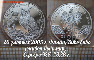 Польша 20 злотых 2005 Филин в капсуле. До 4.10. в 22:00 - д