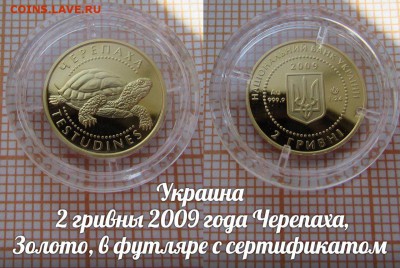 Украина 2 гривны 2009 Черепаха, Золото. До 5.10. в 22:00 - д