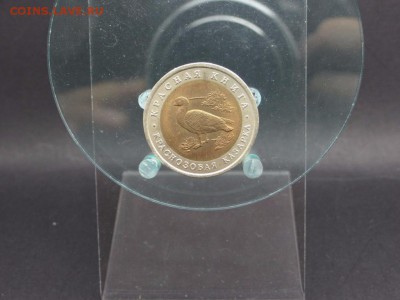 10 рублей 1992 Краснозобая Казарка Красная книга - bimetal_10_rublej_1992_krasnozobaja_kazarka_krasnaja_kniga
