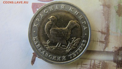 КК-93. 50 рублей. Кавказский Тетерев. До 7 окт. - IMG_6782.JPG