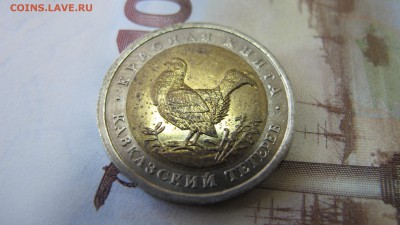 КК-93. 50 рублей. Кавказский Тетерев. До 7 окт. - IMG_6781.JPG