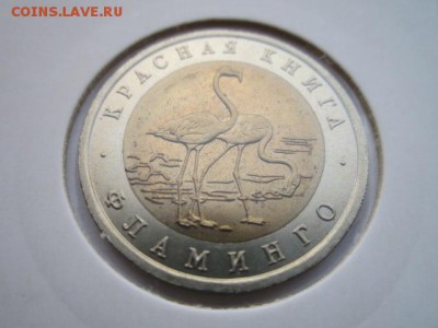 КК 94 ФЛАМИНГО до 08.10.2017 в 22:30 - IMG_6516.JPG