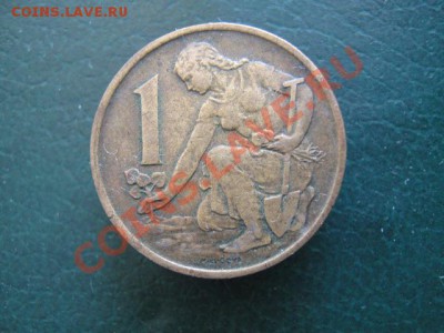 Разная инострань 5 - IMG_5567