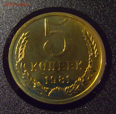 5 копеек - CIMG4762.JPG