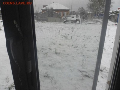 перекличка городов по температуре - SAM_8849.JPG