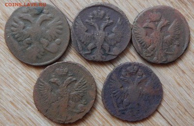 Денга 1735-50 гг. 5шт. - DSCN2077.JPG