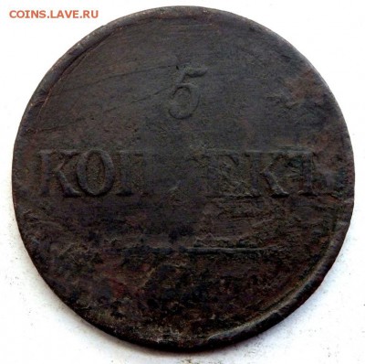 5 копеек 1831 года ем. до 07.10.17 22-00 - PA052199.JPG