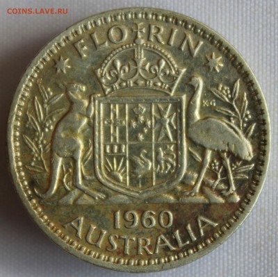 С 1 РУБ. АВСТРАЛИЯ 1 флорин 1960г.  до 11.10 в 22-00 - IMG_8360.JPG