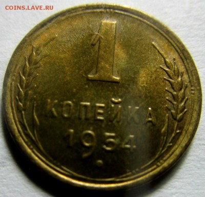 1 копейка 1954 года.  08-10-2017 в 22-00 мск - IMG_2591.JPG