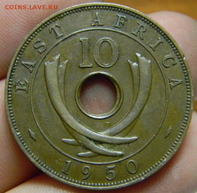 10 центов вост. африка 1950 - DSCN1433.JPG