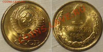 Кучка браков  до 15.03.11г 21.00мск - 85