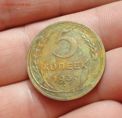5 копеек 1934,35,36,37,45 годов. - DSC00686.JPG