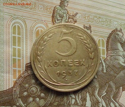 5 копеек 1937 года. До 11.10.17. - DSC00800.JPG
