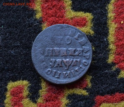 1 копейка 1714 года МД до 22-00 МСК 11.10.2017 - DSC_0334.JPG