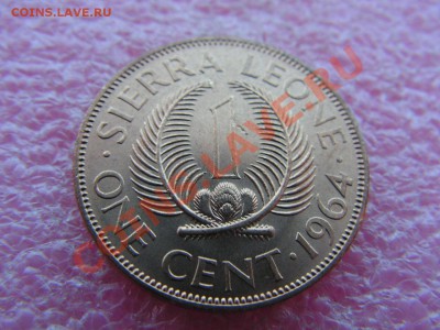 -Сьерра-Леоне- 1 цент 1964 -- 11 марта 22-00 - 1 цент 1964 (1).JPG