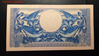 5 рупий 1959г Индонезия UNC - image