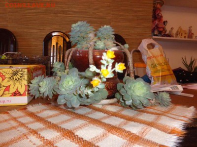 ФОТО - просто фото. Те что получились удачными. - DSC06708.JPG