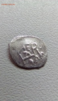 Птичка на определение и оценку - IMG_5248.JPG