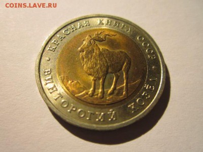 КК 91 Козел (aUNC) до 15.10.2017 в 22:30 - IMG_6613.JPG