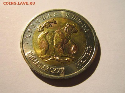 КК 93 Медведь (aUNC) до 15.10.2017 в 22:30 - IMG_6625.JPG