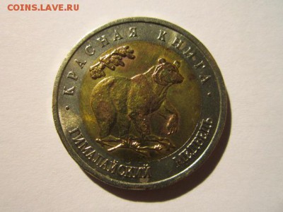 КК 93 Медведь (aUNC) до 15.10.2017 в 22:30 - IMG_6624.JPG