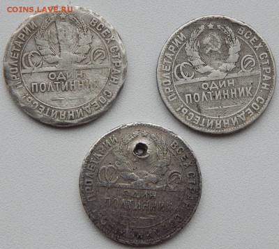 ПОЛТИННИК 1924 (лом) 12.10.17 - DSCN7785.JPG