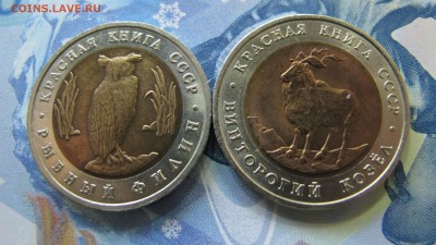 Красная Книга 1991: Филин и Козел, до 14 октября - IMG_6948.JPG