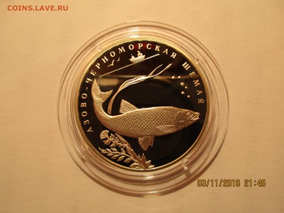 К.К.2 руб.2008г. Черноморская шемая.до 16.10.2017г.22-МСК - Изображение 044